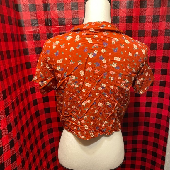 Ginger - Picture 2 of 5